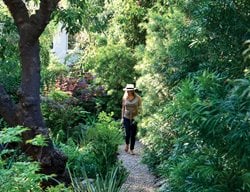 Gravel Path
Shade Garden Pictures
Commune Design
Los Angeles, CA