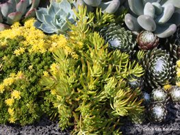 Blog of Garden Design Magazine | Garden Design