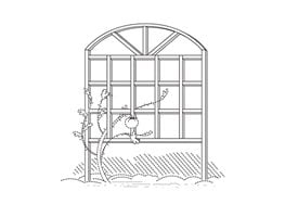 Trellis
Brenda Weaver (Illustrator)