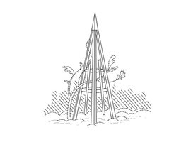 Tuteur
Brenda Weaver (Illustrator)