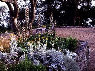 Tales of a Big Sur Backyard | Garden Design