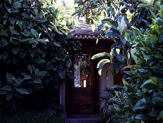 Tales of a Big Sur Backyard | Garden Design