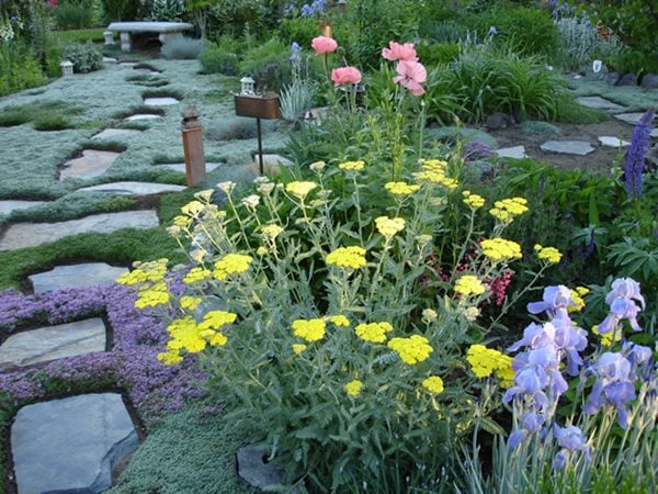 My Garden: An Ever-Changing Therapy Garden - Gallery | Garden Design