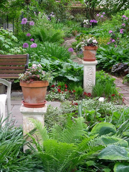Small Garden, Big Interest - Gallery | Garden Design