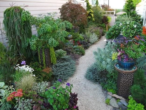 My Private Oasis | Garden Design