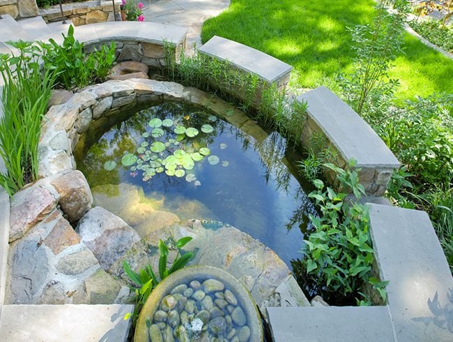  Rainwater Harvesting, Catchment Pond
Tom Mannion Landscape Design Inc.
Arlington, VA