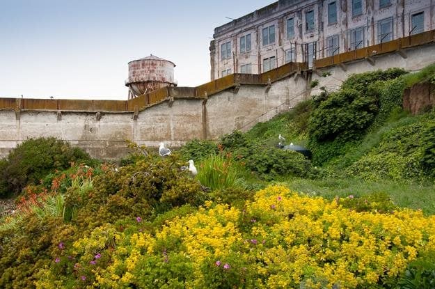 Restored Gardens Of Alcatraz
Garden Design
Calimesa, CA