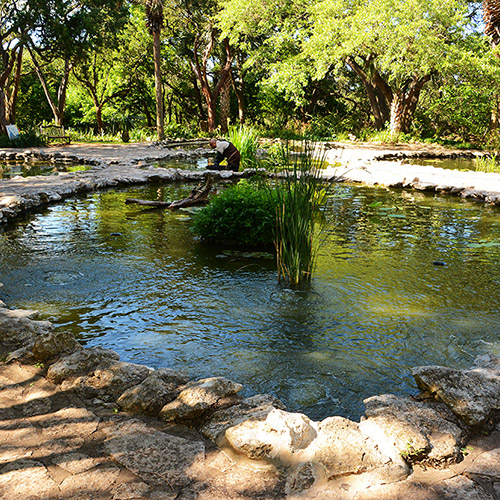 Austin Gardens - Self-Guided Day Trip | Garden Design