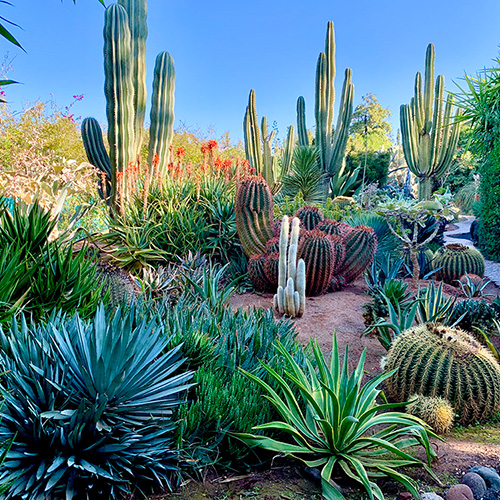 Marrakesh Gardens - Self-Guided Day Trip | Garden Design