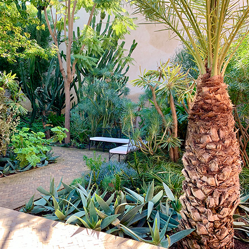 Marrakesh Gardens - Self-Guided Day Trip | Garden Design