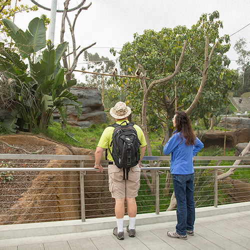 Must-See San Diego Gardens - Self-Guided Day Trip | Garden Design