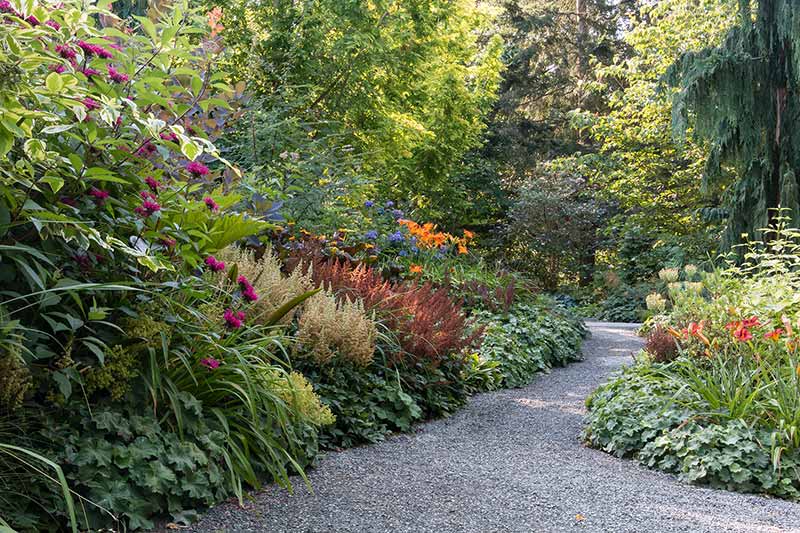 Seattle Gardens MustSee SelfGuided Gaarden Tours Garden Design