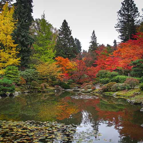 Seattle Gardens - Must-See Self-Guided Gaarden Tours | Garden Design