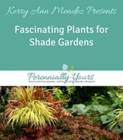 Fascinating Plants for Shade