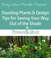 Dazzling Plants & Design Tips for Shade