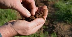 Garden Soil, Soil Preparation
Shutterstock.com
New York, NY