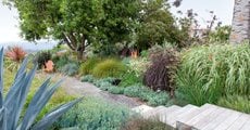 Encinitas, Water Wise Garden
Debora Carl Landscape Design
Encinitas, CA