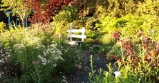 Garden Path With Abundant Plants
Garden Design
Calimesa, CA