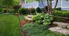 Landscape Bed, Planting Bed
Garden Design
Calimesa, CA