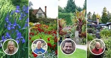 Garden Design Webinar
Garden Design
Calimesa, CA