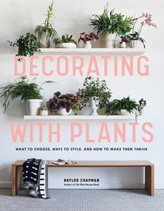 Decorating with Plants