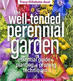 Well-Tended Perennial Garden