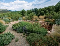 Landscape Design Pictures
Design with Nature
Santa Fe, NM