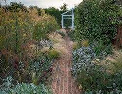  Red Brick Path, Foliage
Landscape Design Pictures
Daniel Shea Contemporary Garden Design
Norfolk, UK