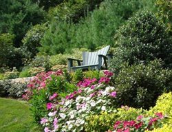 Bench On Garden Slope
Garden Design
Calimesa, CA