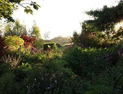 Borrowed View Of Hills From Garden
Garden Design
Calimesa, CA