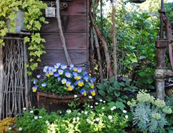 Colorful Garden With Rustic Art
Garden Design
Calimesa, CA