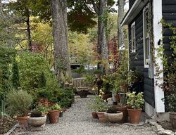 Container Garden
Garden Design
Calimesa, CA