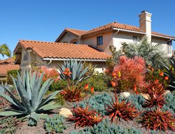 Desert Landscaping On A Slope
Shutterstock.com
New York, NY