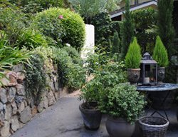 Driveway Container Garden
Garden Design
Calimesa, CA