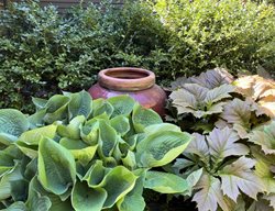 Empty Clay Pot In Garden
Garden Design
Calimesa, CA