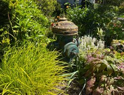 Fire Hydrant In Garden
Garden Design
Calimesa, CA