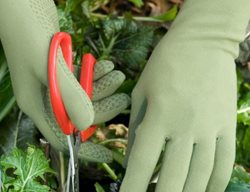 Foxgloves Garden Gloves, Green Gardening Gloves
Garden Design
Calimesa, CA