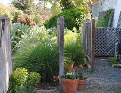 French Laundry Restaurant Garden
Garden Design
Calimesa, CA