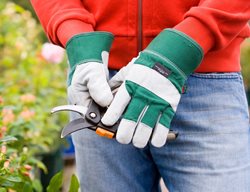 Garden Gloves & Pruner
Shutterstock.com
New York, NY