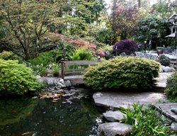 Garden, Spring
Robin Hopper (Homeowner)
Metchosin, British Columbia