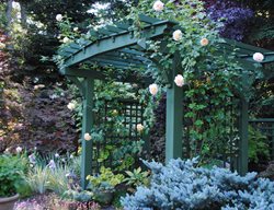 Green Arbor With Roses
Garden Design
Calimesa, CA