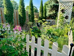 Kitchen Garden, White Picket Fence
Garden Design
Calimesa, CA