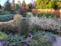 Low-Water Garden
Garden Design
Calimesa, CA