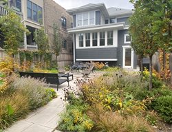 Perennial Planting Around Patio
Fieldwork Design Group
IL