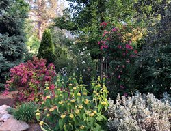 Pink, Yellow, And Silver Garden
Garden Design
Calimesa, CA