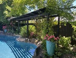 Pool With Cantilever Trellis
Garden Design
Calimesa, CA