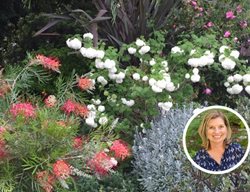 Rebecca Sweet Shrub Webinar
Garden Design
Calimesa, CA