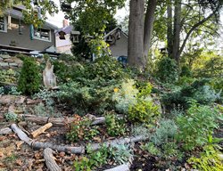 Sloped Garden Beds
Garden Design
Calimesa, CA