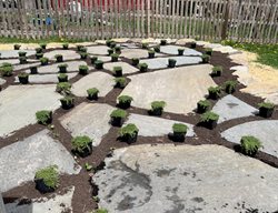 Stone Patio Layout
Garden Design
Calimesa, CA