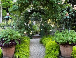 Tanner Garden Walkway
Garden Design
Calimesa, CA